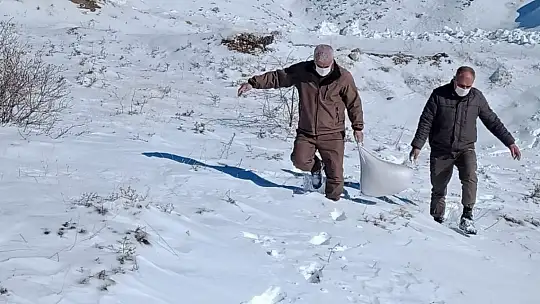Elazığ'da yaban hayvanları için doğaya yem bırakıldı