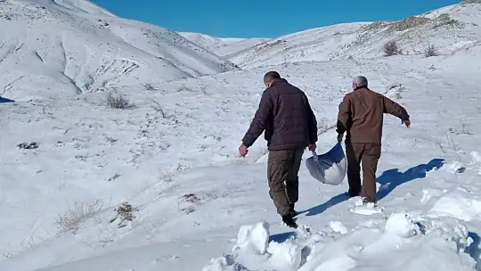 Elazığ'da yaban hayvanları için doğaya yem bırakıldı