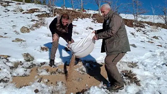 Elazığ'da yaban hayvanları için doğaya yem bırakıldı