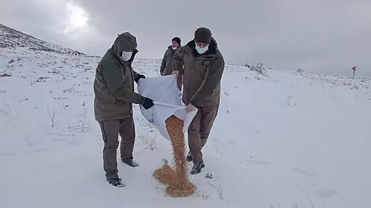 Elazığ'da yaban hayvanları için doğaya yem bırakıldı