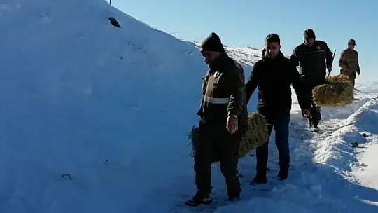 Elazığ'da yaban hayvanları için doğaya yem bırakıldı