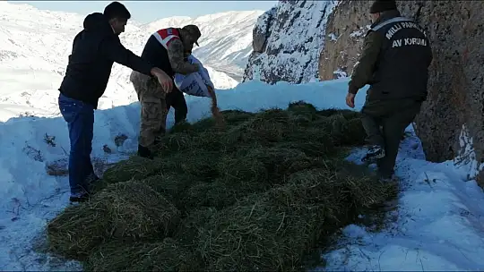 Elazığ'da yaban hayvanları için doğaya yem bırakıldı