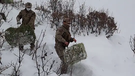 Elazığ'da yaban hayvanları için doğaya yem bırakıldı