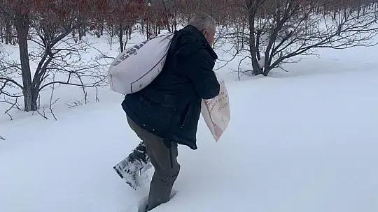 Elazığ'da yaban hayvanları için doğaya yem bırakıldı