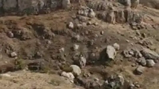 Elazığ'da yaban keçileri tarihi Harput Kalesine indi