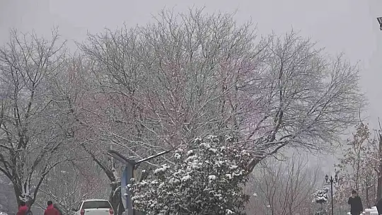 Elazığ'da yılın ilk karı yağdı