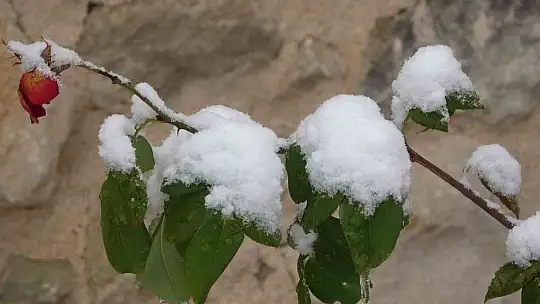 Elazığ'da yılın ilk karı yağdı