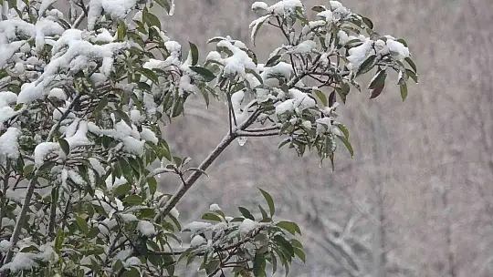 Elazığ'da yılın ilk karı yağdı