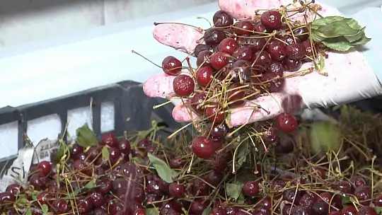 Elazığ'ın patentli lezzeti vişne dondurmasına kışın yoğun ilgi