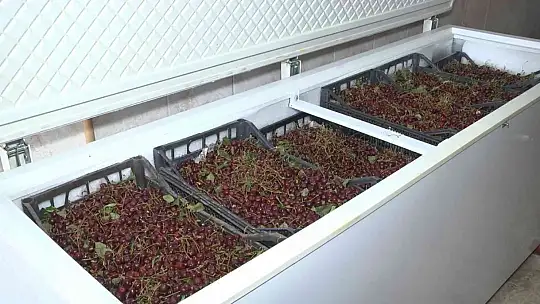 Elazığ'ın patentli lezzeti vişne dondurmasına kışın yoğun ilgi