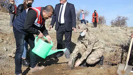 Elazığ Jandarma, Harput Mahallesine 2 bin fidan dikti