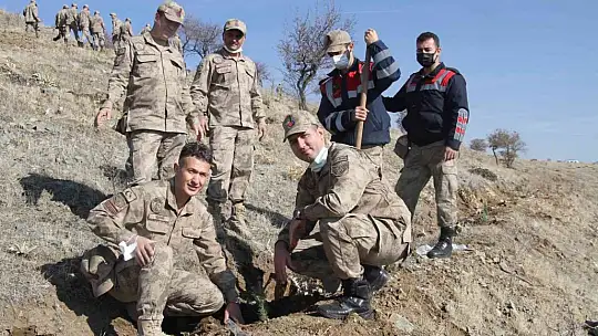 Elazığ Jandarma, Harput Mahallesine 2 bin fidan dikti
