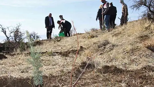 Elazığ Jandarma, Harput Mahallesine 2 bin fidan dikti