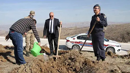 Elazığ Jandarma, Harput Mahallesine 2 bin fidan dikti
