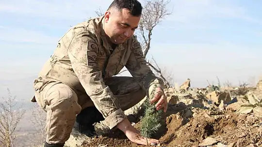 Elazığ Jandarma, Harput Mahallesine 2 bin fidan dikti
