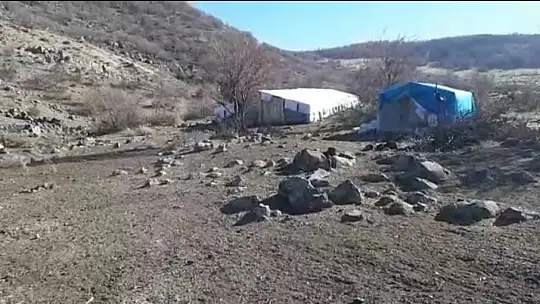 İzdiham yaşanan ağılda 16 koyun telef oldu