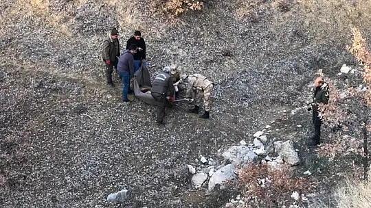 Jandarma ekipleri, yaralı dağ keçisi için seferber oldu
