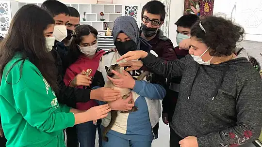 Helva' isimli kedi, öğrencilerin maskotu haline geldi