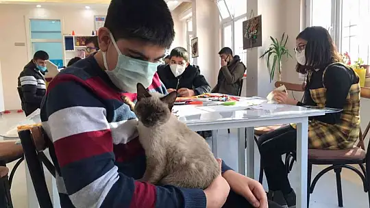Helva' isimli kedi, öğrencilerin maskotu haline geldi
