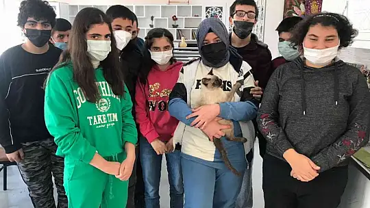 Helva' isimli kedi, öğrencilerin maskotu haline geldi