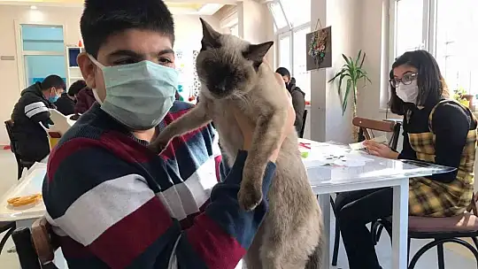 Helva' isimli kedi, öğrencilerin maskotu haline geldi