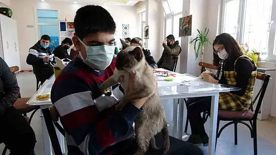 Helva' isimli kedi, öğrencilerin maskotu haline geldi