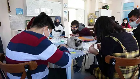 Helva' isimli kedi, öğrencilerin maskotu haline geldi