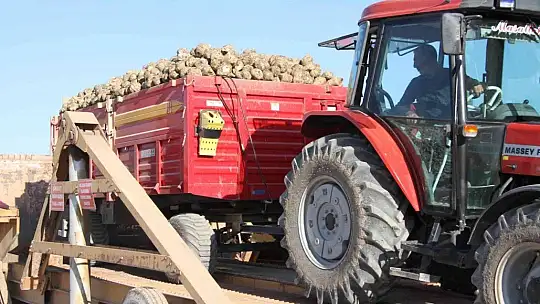 Kuraklık şeker pancarını da vurdu, üretim yüzde 8 azaldı