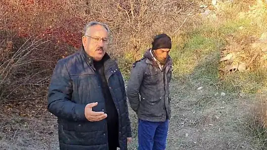 Kurdun saldırısını köpekler önledi