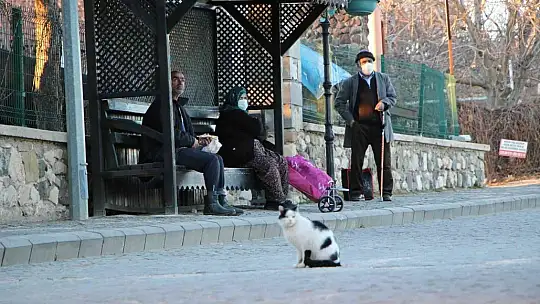 Mevsimler tersine döndü: Batıda kar yağarken Elazığ'da bahar havası yaşanıyor