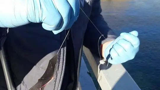 Oltaya balık yerine yarasa takıldı, görenler şaşkına döndü