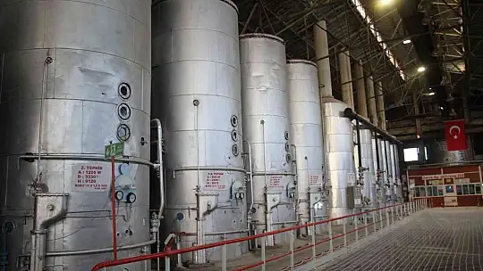 Şeker pancarının tarladan sofralara uzanan tatlı yolculuğu