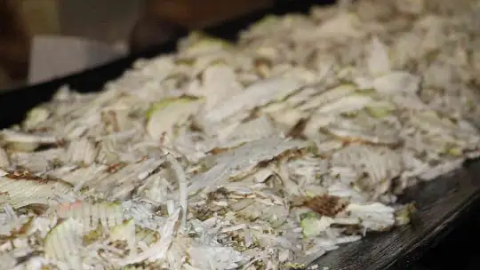 Şeker pancarının tarladan sofralara uzanan tatlı yolculuğu