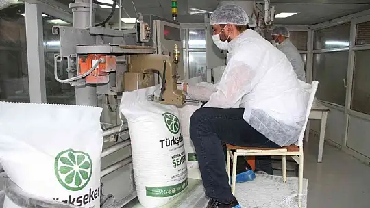 Şeker pancarının tarladan sofralara uzanan tatlı yolculuğu