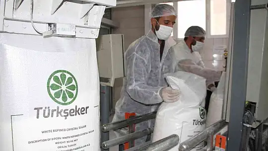 Şeker pancarının tarladan sofralara uzanan tatlı yolculuğu