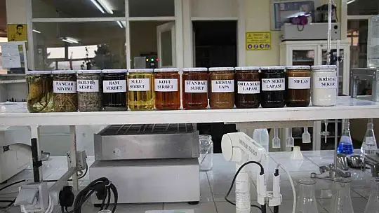 Şeker pancarının tarladan sofralara uzanan tatlı yolculuğu