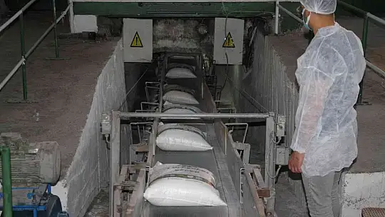 Şeker pancarının tarladan sofralara uzanan tatlı yolculuğu