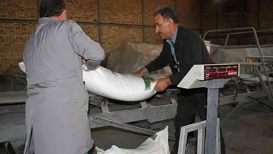 Şeker pancarının tarladan sofralara uzanan tatlı yolculuğu