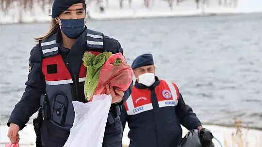 Tavşan Adası'nın uzun kulaklı sakinleri jandarma tarafından besleniyor