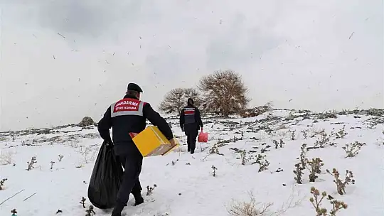 Tavşan Adası'nın uzun kulaklı sakinleri jandarma tarafından besleniyor