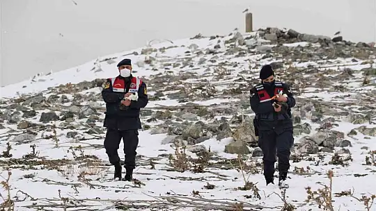 Tavşan Adası'nın uzun kulaklı sakinleri jandarma tarafından besleniyor