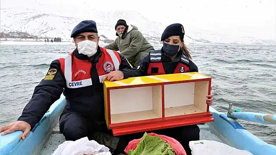 Tavşan Adası'nın uzun kulaklı sakinleri jandarma tarafından besleniyor