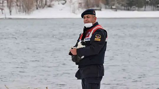 Tavşan Adası'nın uzun kulaklı sakinleri jandarma tarafından besleniyor