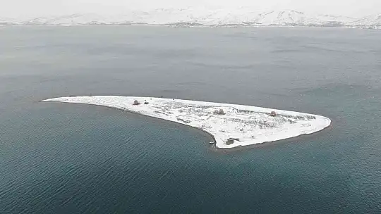 Tavşan Adası'nın uzun kulaklı sakinleri jandarma tarafından besleniyor