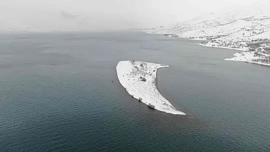 Tavşan Adası'nın uzun kulaklı sakinleri jandarma tarafından besleniyor
