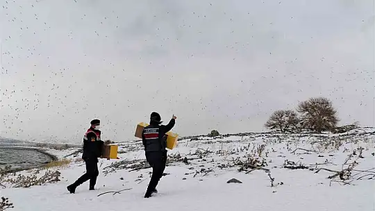 Tavşan Adası'nın uzun kulaklı sakinleri jandarma tarafından besleniyor