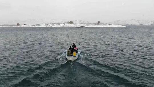 Tavşan Adası'nın uzun kulaklı sakinleri jandarma tarafından besleniyor