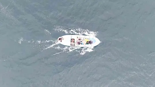 Tavşan Adası'nın uzun kulaklı sakinleri jandarma tarafından besleniyor