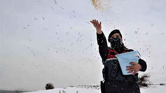Tavşan Adası'nın uzun kulaklı sakinleri jandarma tarafından besleniyor