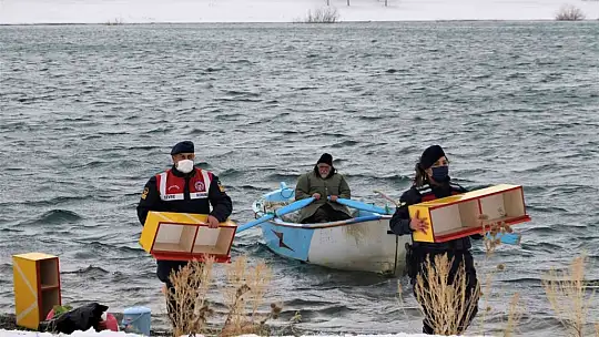 Tavşan Adası'nın uzun kulaklı sakinleri jandarma tarafından besleniyor